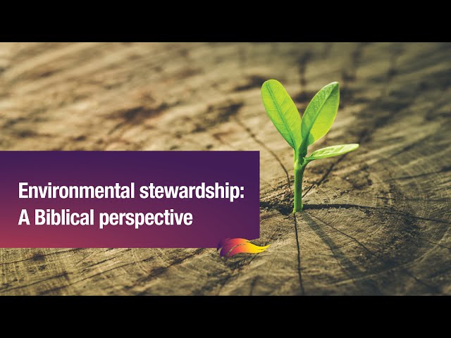 Environmental Stewardship – Dr. C. Vasantha Rao